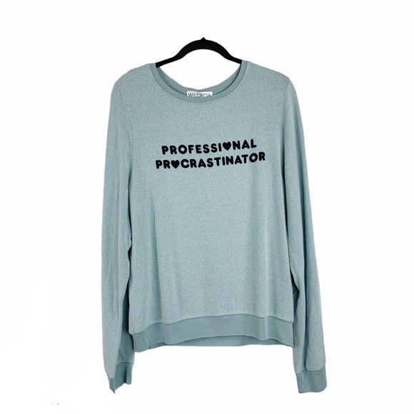 Wildfox Tops - Wildfox Professional Procrastinator Pullover